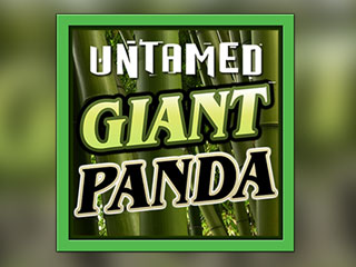 Untamed - Giant Panda